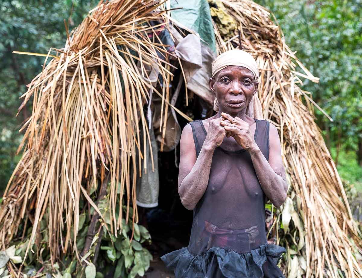 Birdwatching in Bwindi Impenetrable National Park, Uganda - Endemic Albertine Rift Species